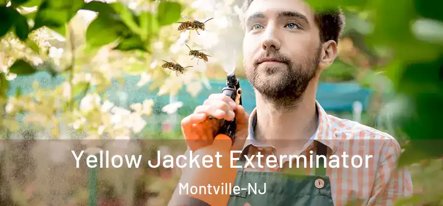  Yellow Jacket Exterminator Montville-NJ