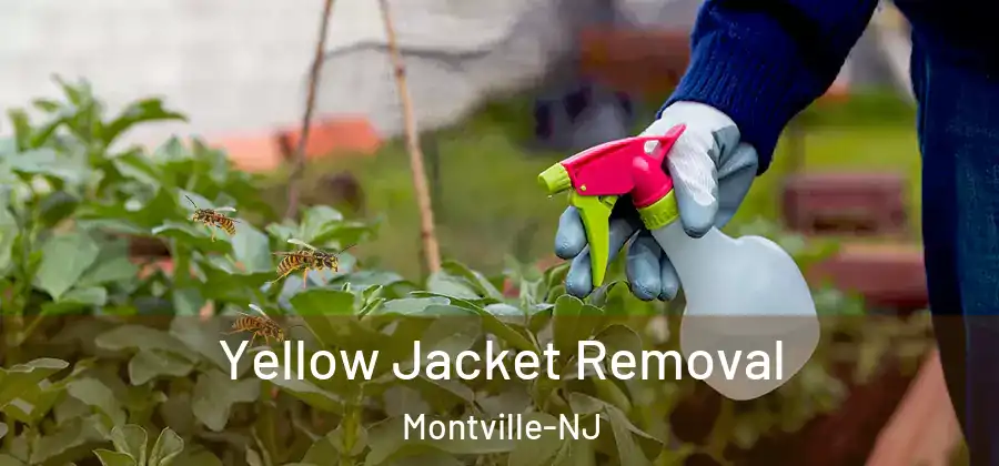 Yellow Jacket Removal Montville-NJ